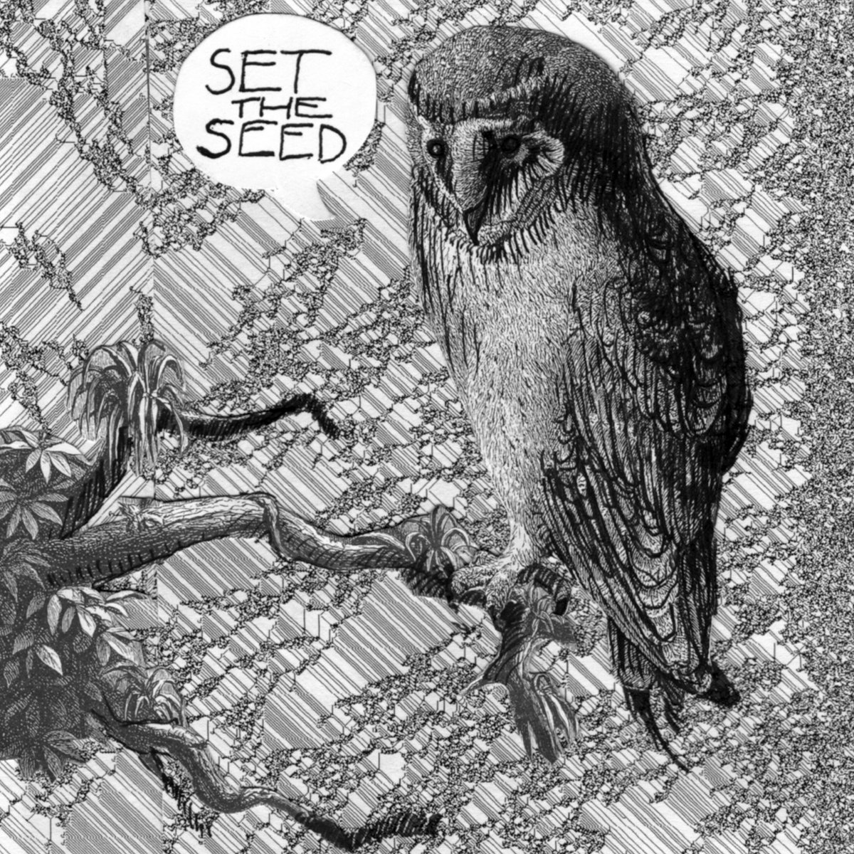 Set the Seed album artwork featuring a hand-drawn owl